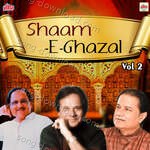 Shaam E Ghazal Vol 2 - Manhar Udhas Song Download